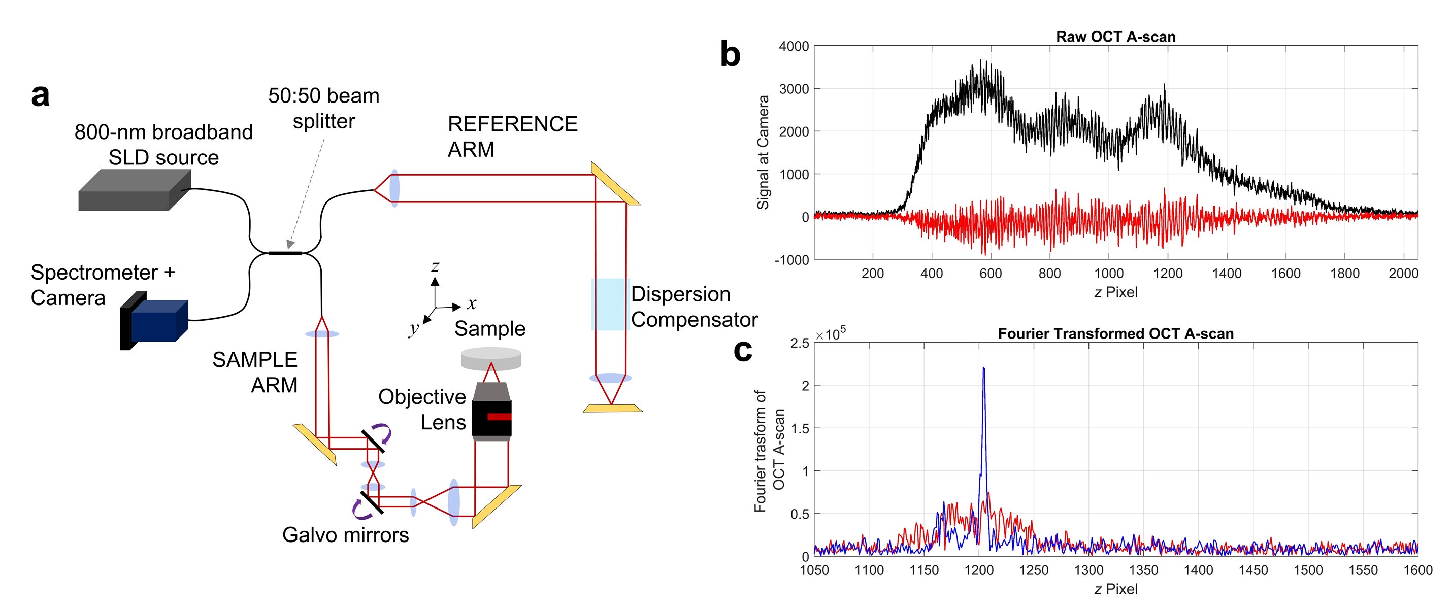 Schematic of the optical system used to achieve optical coherence