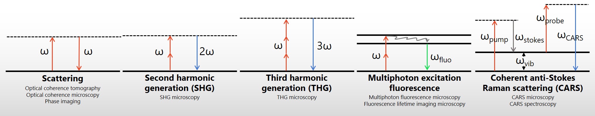 Jabslonski diagrams of light-matter interactions